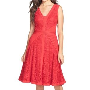 Tadashi Shoji Lace Pintuck Jersey Fit Flare Cocktail Dress